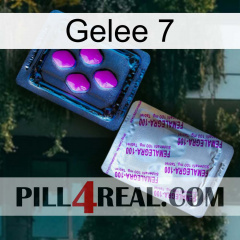 Jelly 7 37